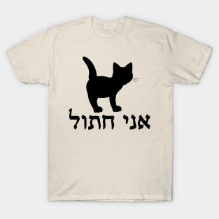 I'm A Cat (Hebrew, Masculine) T-Shirt